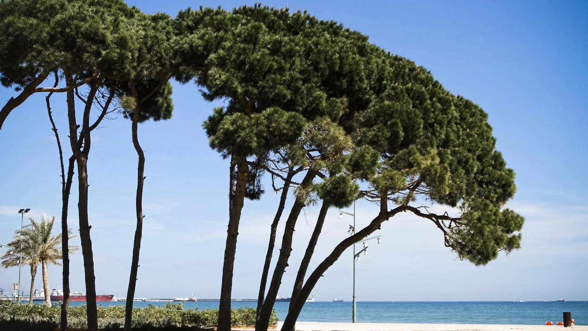 Apartamento Tecavi II La Pineda 0*,  Spain